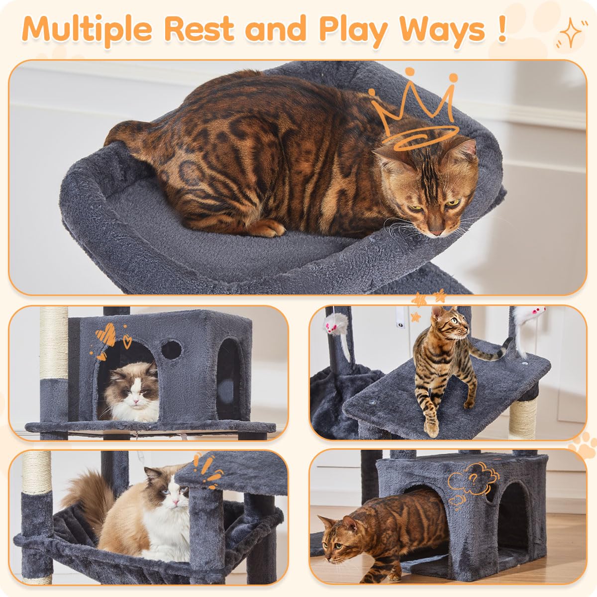 CAT★ alley.png