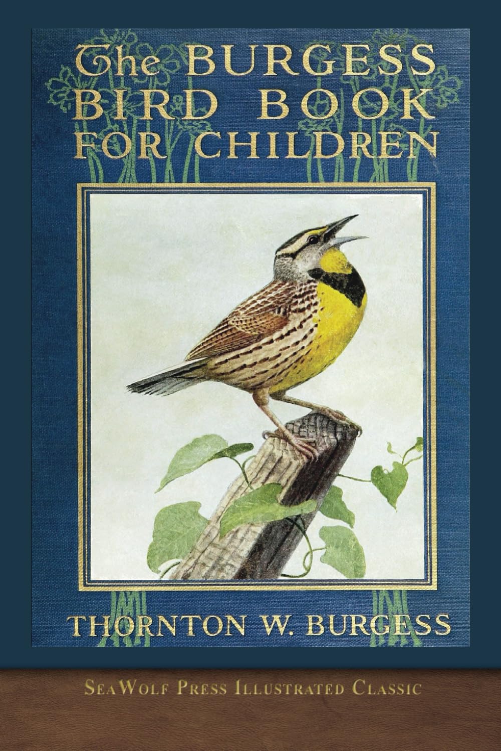 The Burgess Bird Book for Children (color): SeaWolf Press Illustrated Classic      Paperback – February 7, 2024