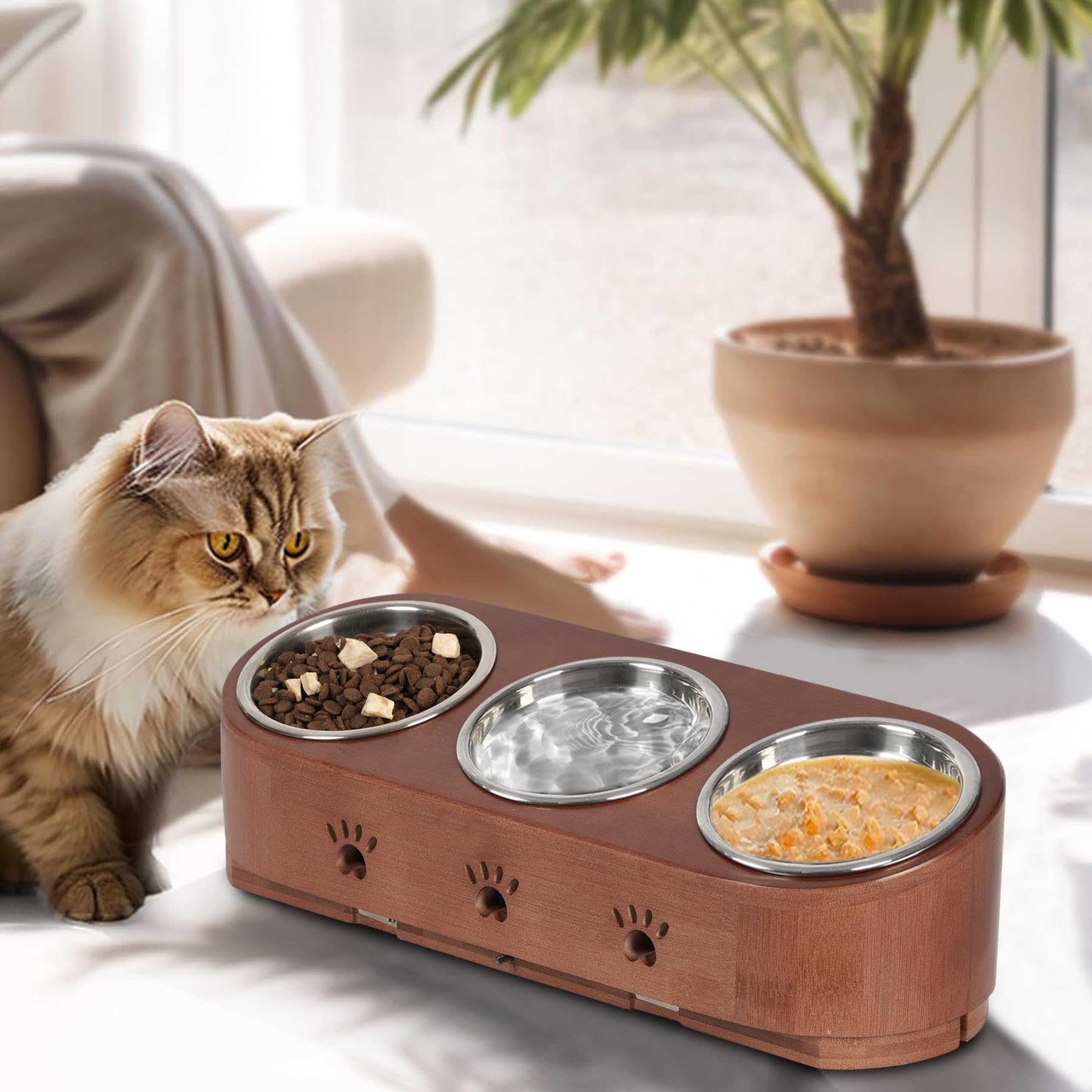 Raised Cat Feeder With Removable Stainless Steel Bowl Elevated Pet Bowl