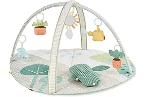 Skip Hop Celestial Dreams Garden Oasis Baby Play Gym