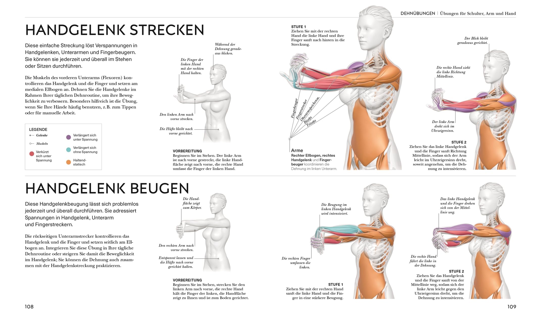 Stretching - Die Anatomie verstehen: Mit Dehnübungen für mehr Beweglichkeit. Grafiken geben Einblicke in die Muskel- und Gelenkarbeit