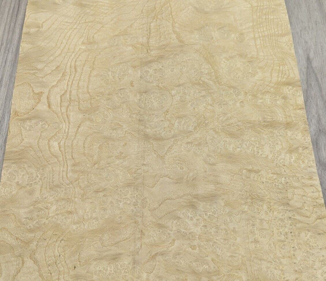 White Ash Burl Wood Veneer 10" x 12" raw no Backing 1/42" Thickness AA Grade
