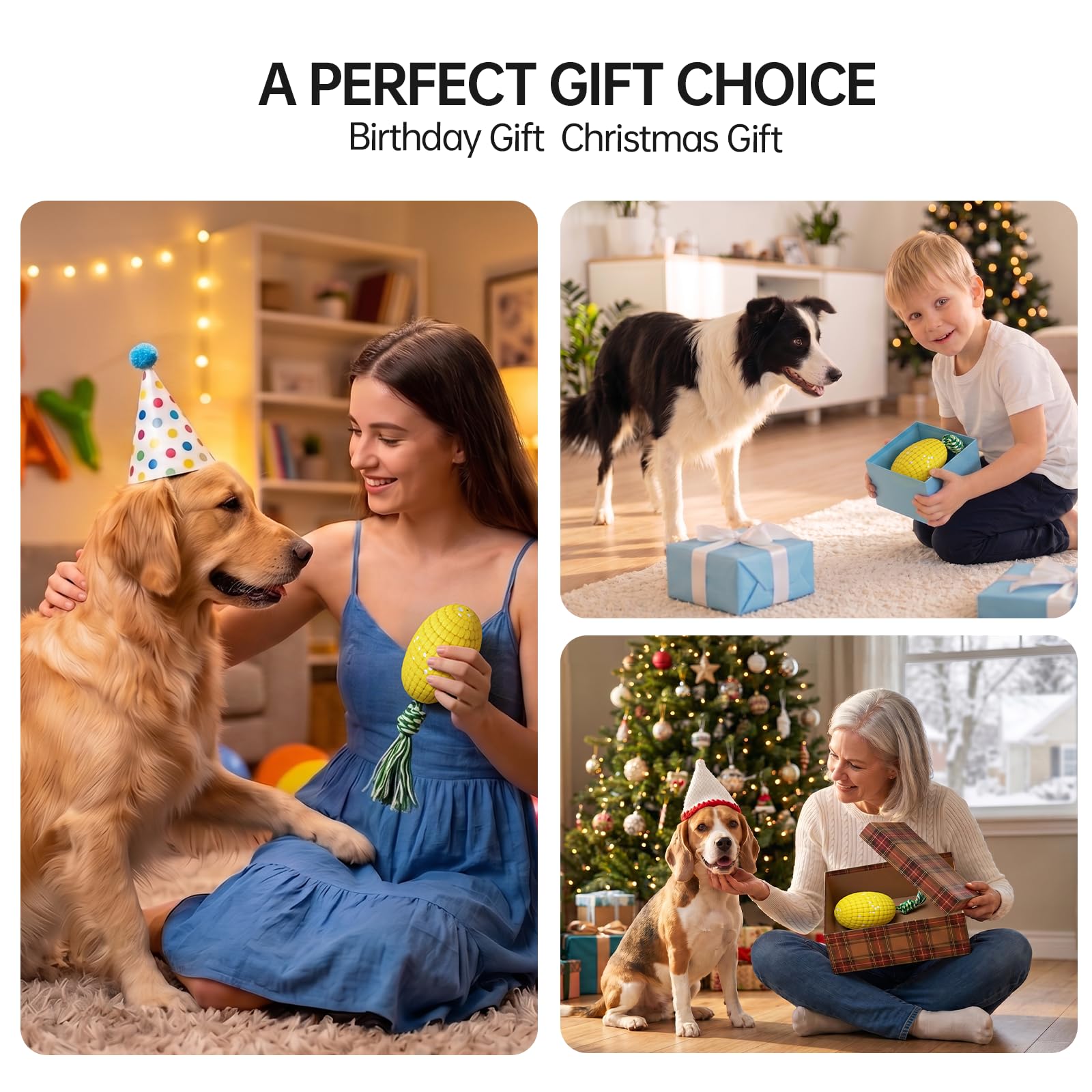 View 6