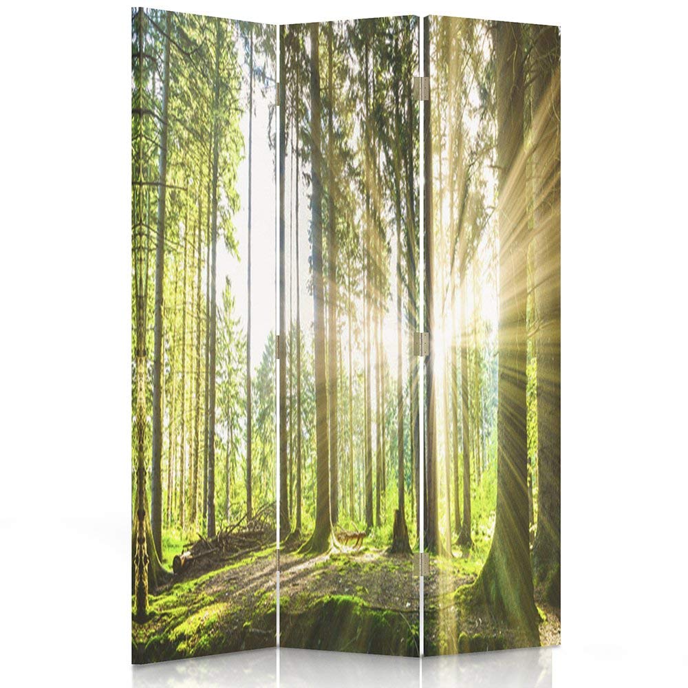 Feeby Paravent forêt 3 Panneaux 110x180 cm Une Seule Côté Cloison de séparation Écran Pliant Foto Paravent Interieur Décoratif Mur Espagnol Impression sur Toile Chambre d'enfant Salon Bureau Vert