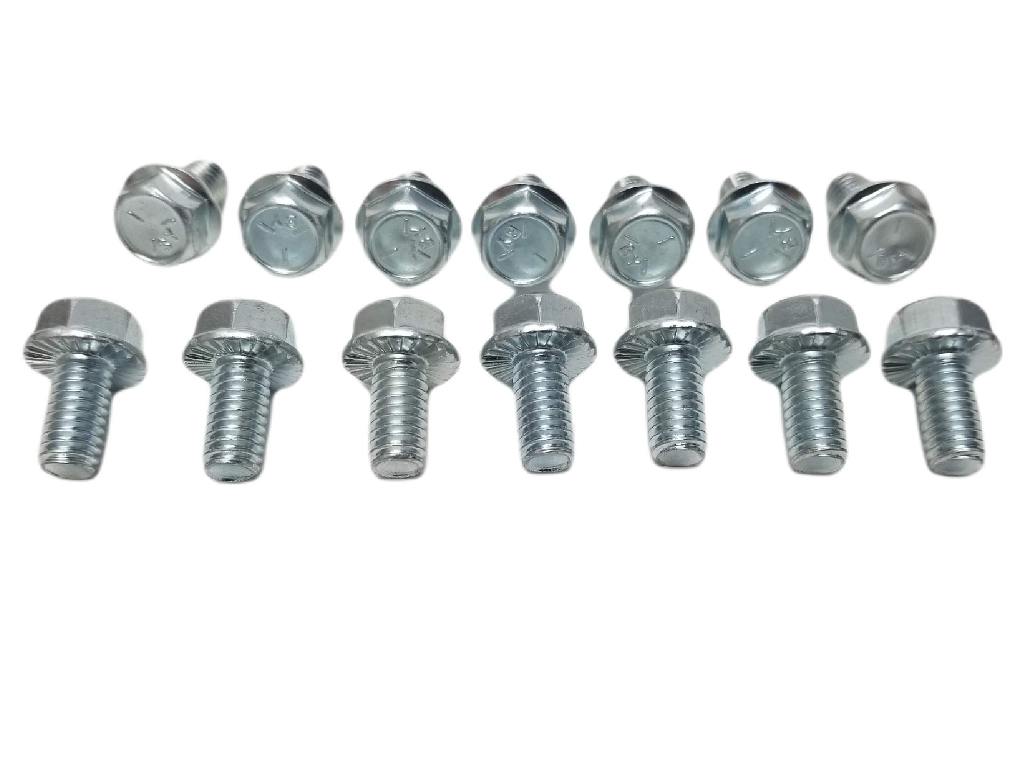 Z Whip SAE 14pc Differential Cover Bolt Kit 5/16-18 Flange Bolts