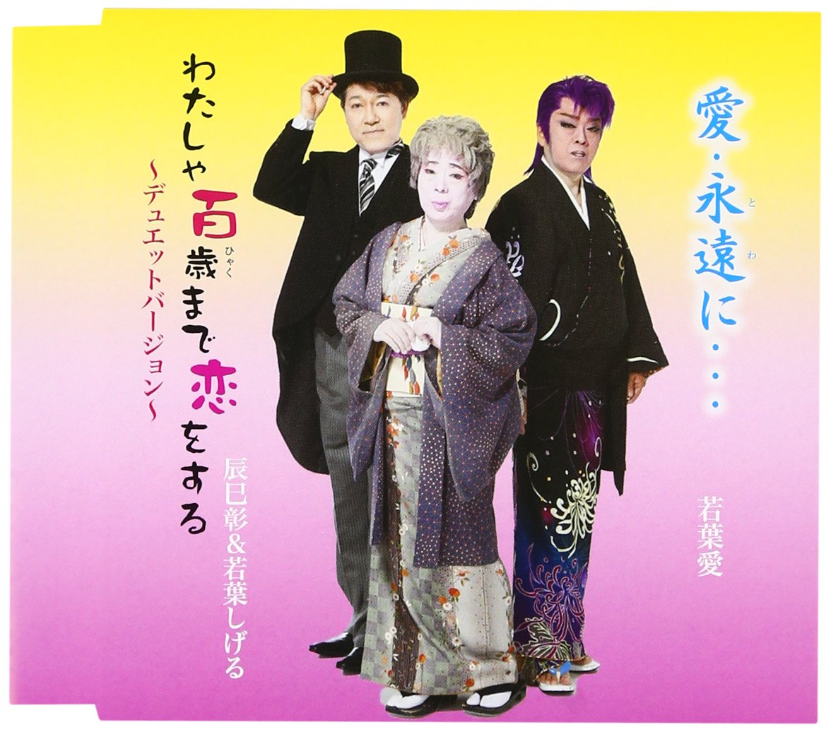 活動歴および当時の関連ビジュアル記録