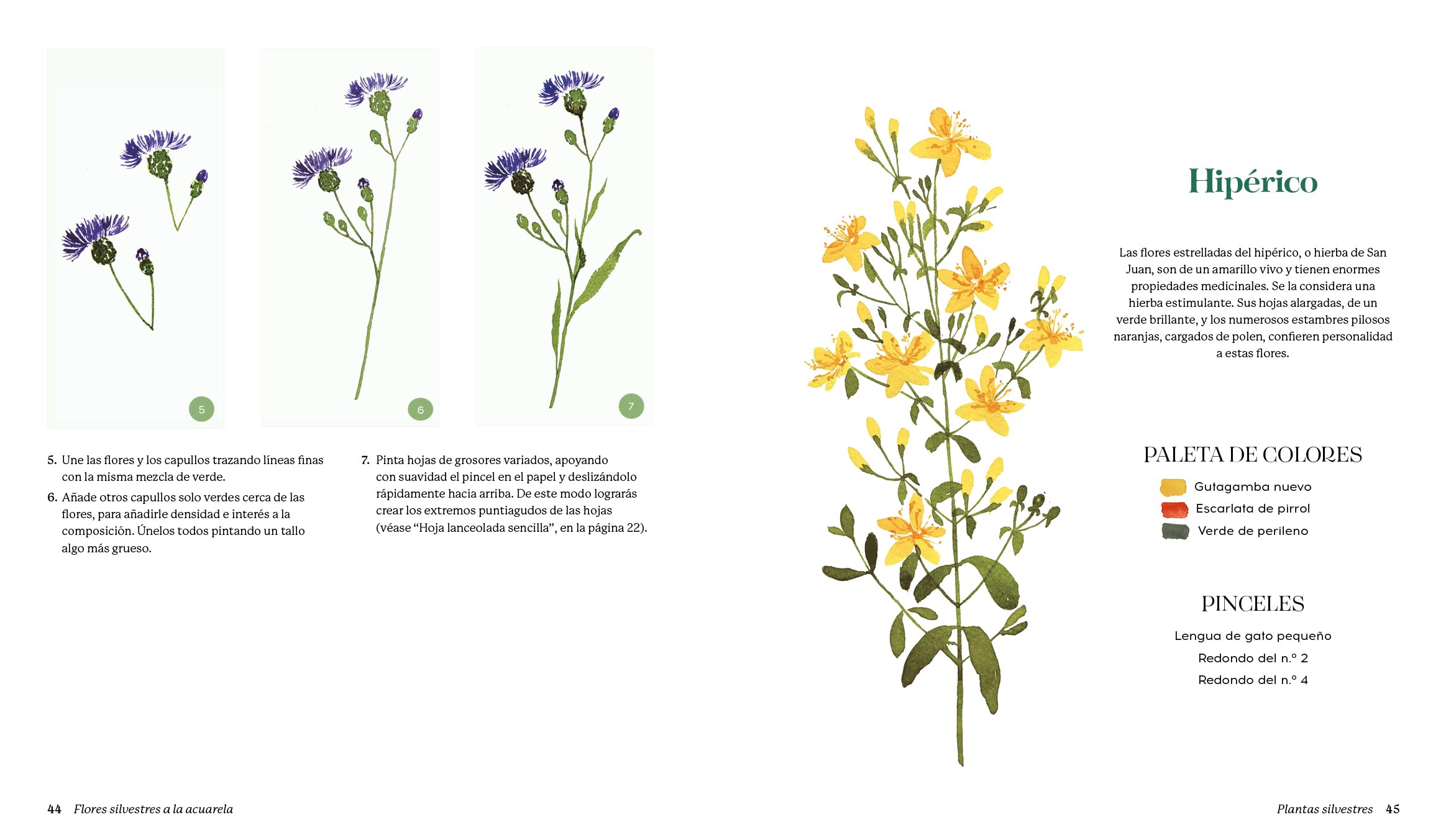 Flores silvestres a la acuarela: Manual de pintura botánica para principiantes (DIBUJO, ILUSTRACION Y ACUARELA)