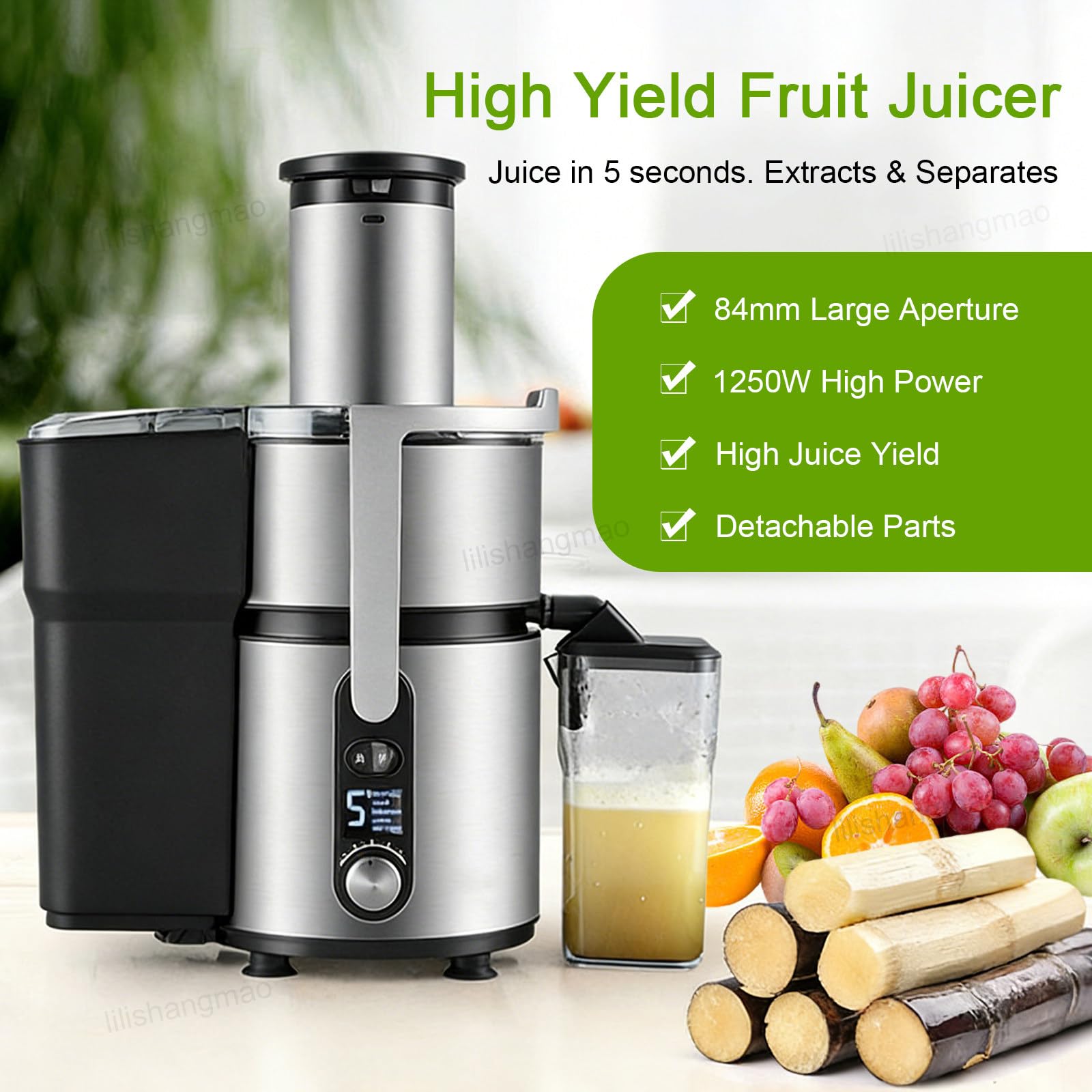 Centrifuga Elettrica da Banco - 1250 W, Elevata Resa in Succo, Imbuto da 84 mm per Frutta E Verdura Intera,Controllo A 5 velocità,Elevata Ritenzione dei Nutrienti,Acciaio Inossidabile