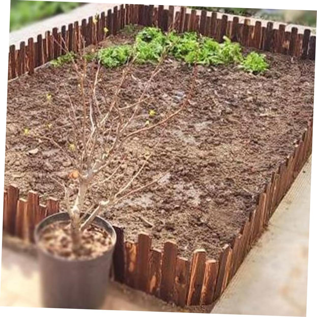 Garden Fence Decor Flexible Edging for Landscaping Height Natural Finish for Flower Beds Patios and Courtyards