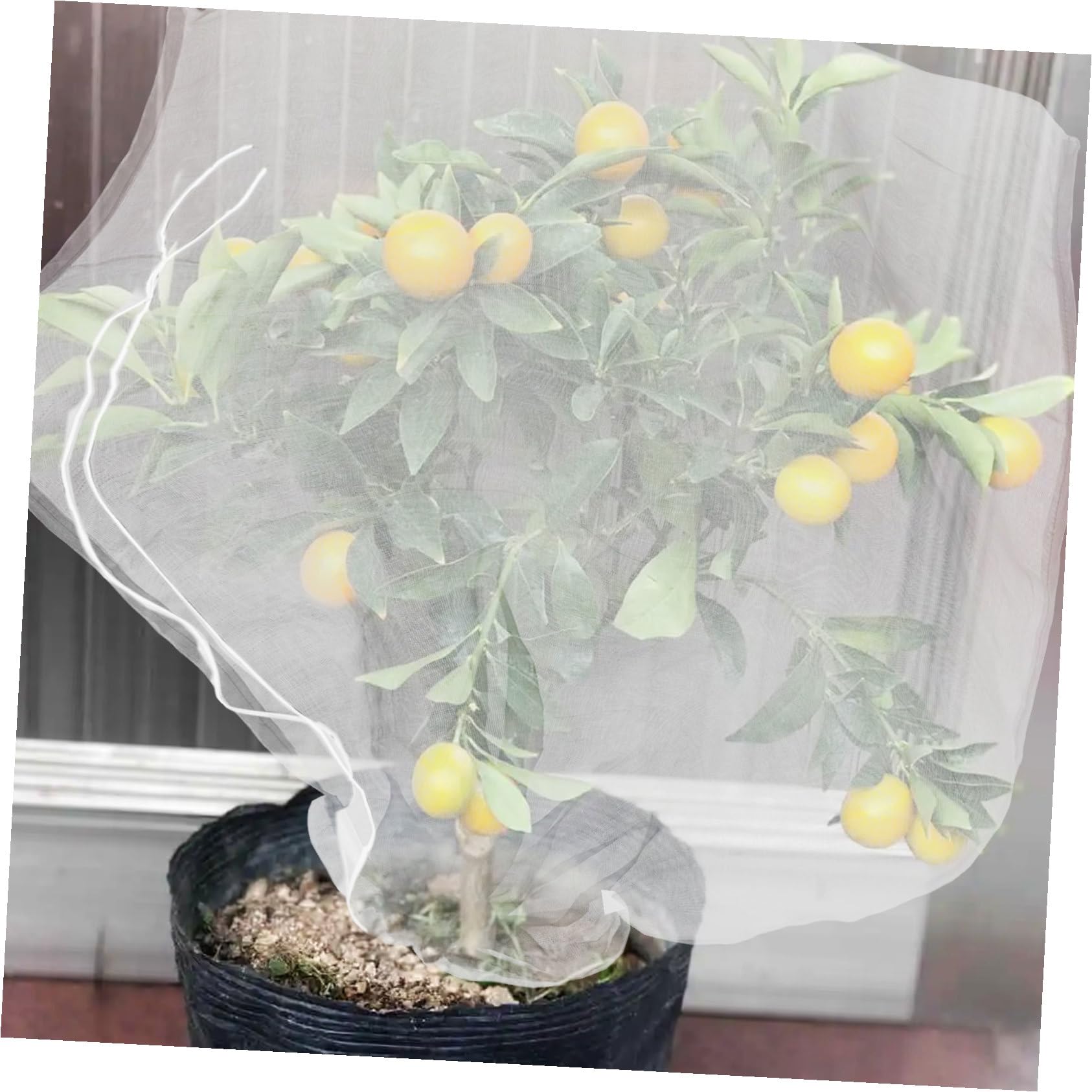 GALPADA 8 Piezas Redes Antipájaros para Plantas De Jardín Redes con Cordón para Árboles Frutales Protección para Verduras y Frutas