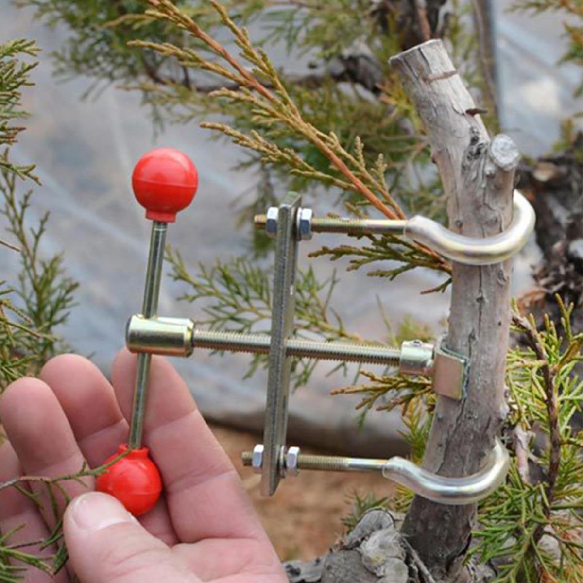 Veemoon Strumento Attrezzo da Giardinaggio in Ferro per Modellare Rami Bonsai Funzione di Piega e Regolazione per Cura e Stile di Piante in Esterno
