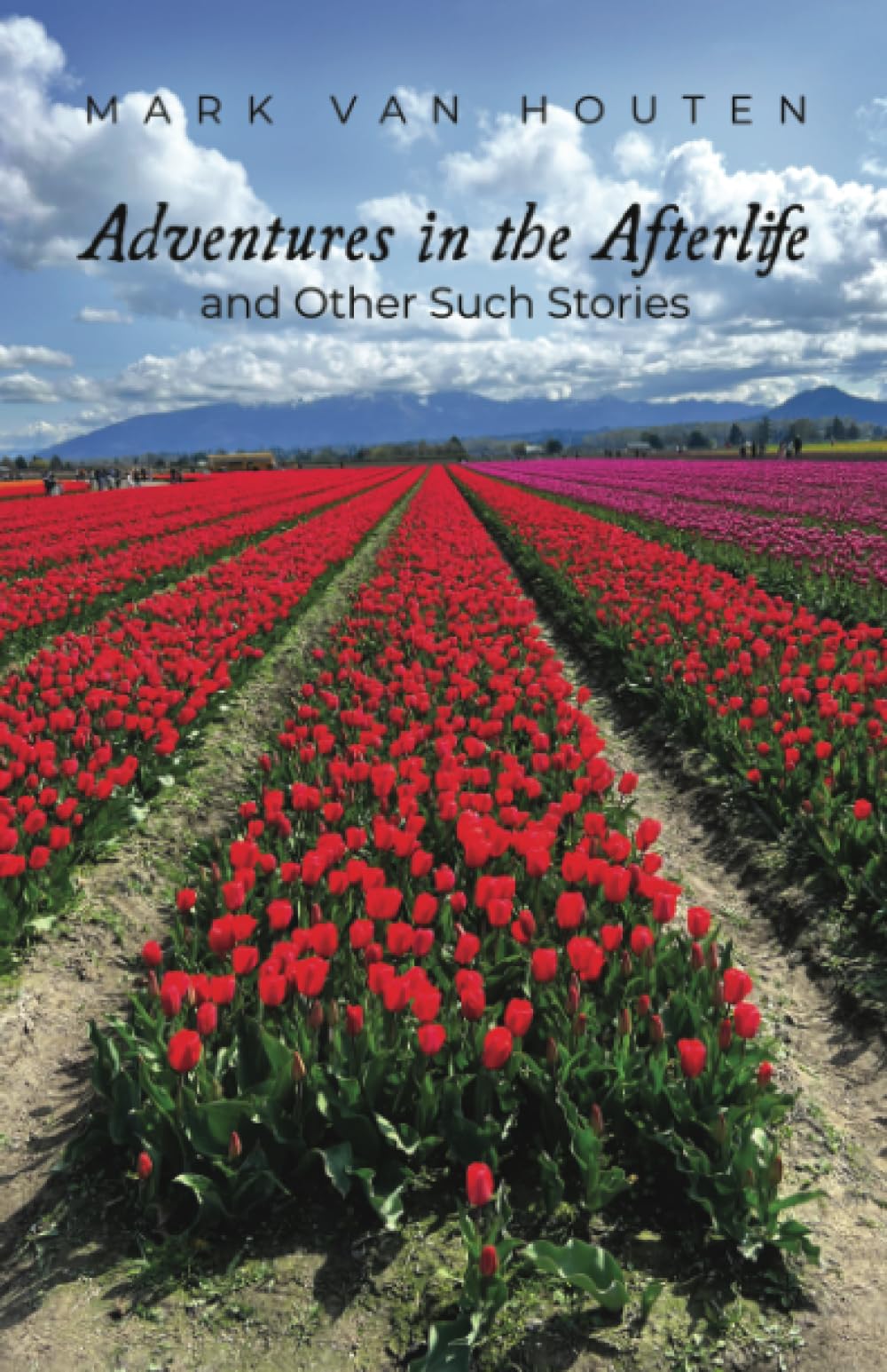 Adventures in the Afterlife and Other Such Stories