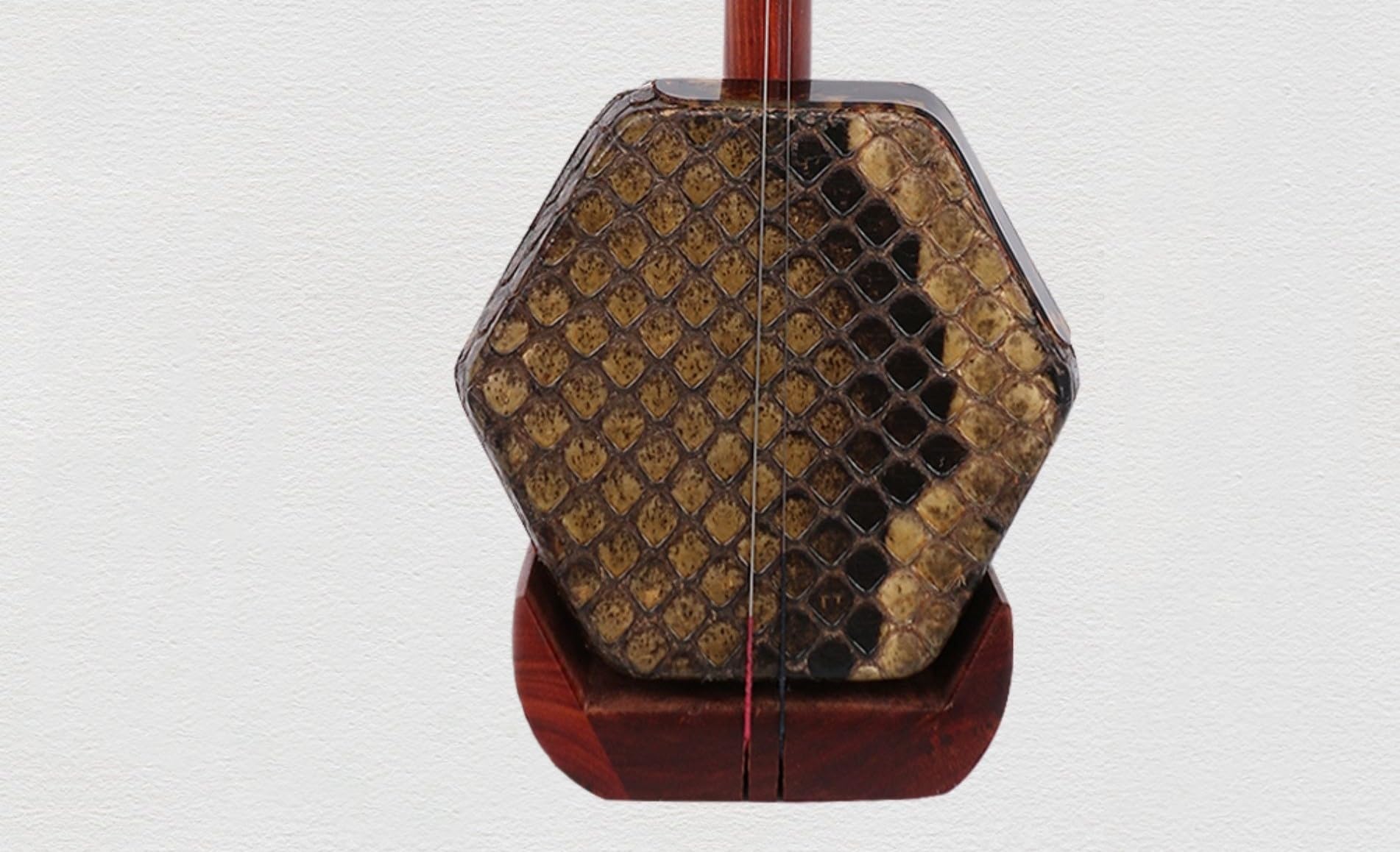 Amazon.com: LANDTOM Chinese Erhu Red Sandalwood(红檀) 2-Stringed
