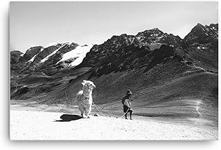 Llama Gifts Wall Decor For Living Room, Llama Wall Art Photography Print Poster Canvas in Various Sizes, Black and White Photography Wall Art, Black And White Wall Art