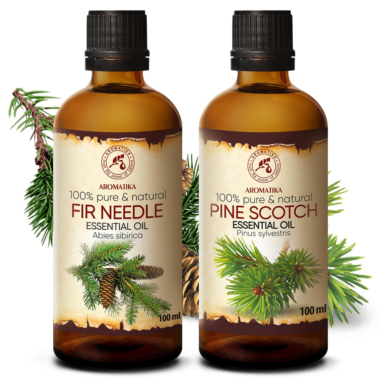 Fichtennadelöl – Abies Sibirica – Kiefernnadelöl Ätherisch – Pinus Sylvestris 2 x 100 ml – Natürlichen & Reinen Öl – Beruhigend – Raumduft – Duftlampe - Tannenöl für Sauna – Aromatherapie