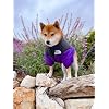 Product Photo 2