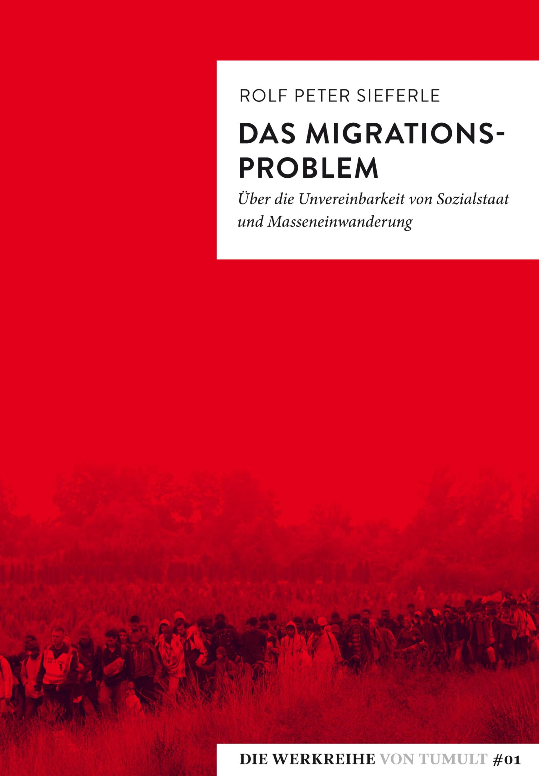 Das Migrationsproblem: Über die Unvereinbarkeit von Sozialstaat und Masseneinwanderung (Die Werkreihe von Tumult)