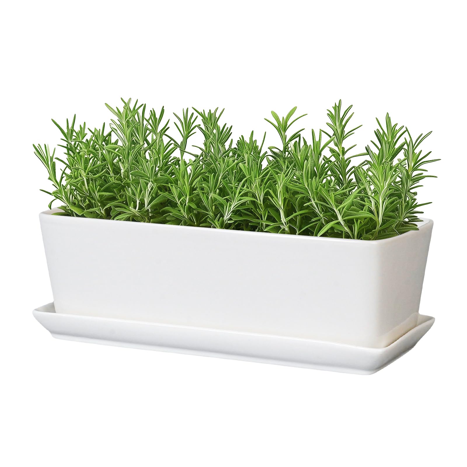 SQOWL Rectangular Planter - 10 Inch Ceramic Pots for Plants with Drainage Hole and Saucer, Succulent Pots for Indoor Outdoor, Cactus Herb Flower Planter, Home Decor, Gifts for Plant Lovers, White