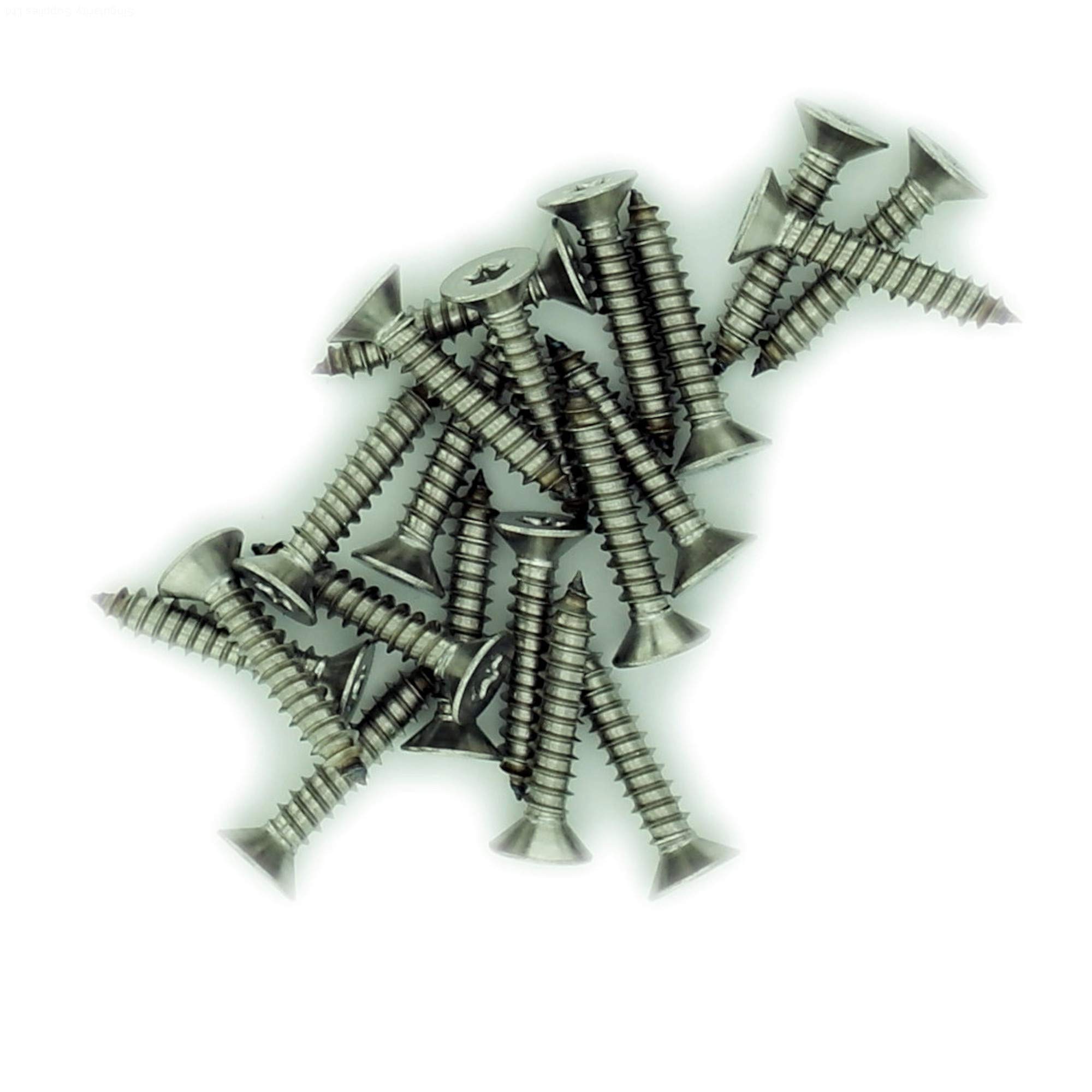 Singularity Supplies Silver No.12 X 0.875 (5.5Mm X 22Mm) Tx Countersunk Self-Tapping Screw - Stainless Steel (A2) (Pack Of 20)