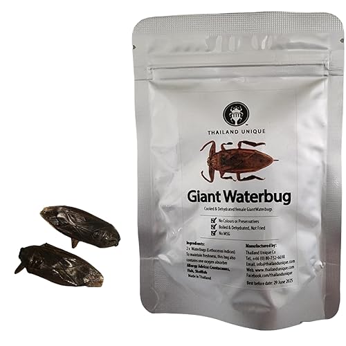 Thailand Unique Giant Waterbug Scorpions - 2 Pieces of Dehydrated Edible Insects for Humans, Nutritious Bugs Superfood Unusual Weird Snack Gift - Giant Waterbug Scorpions