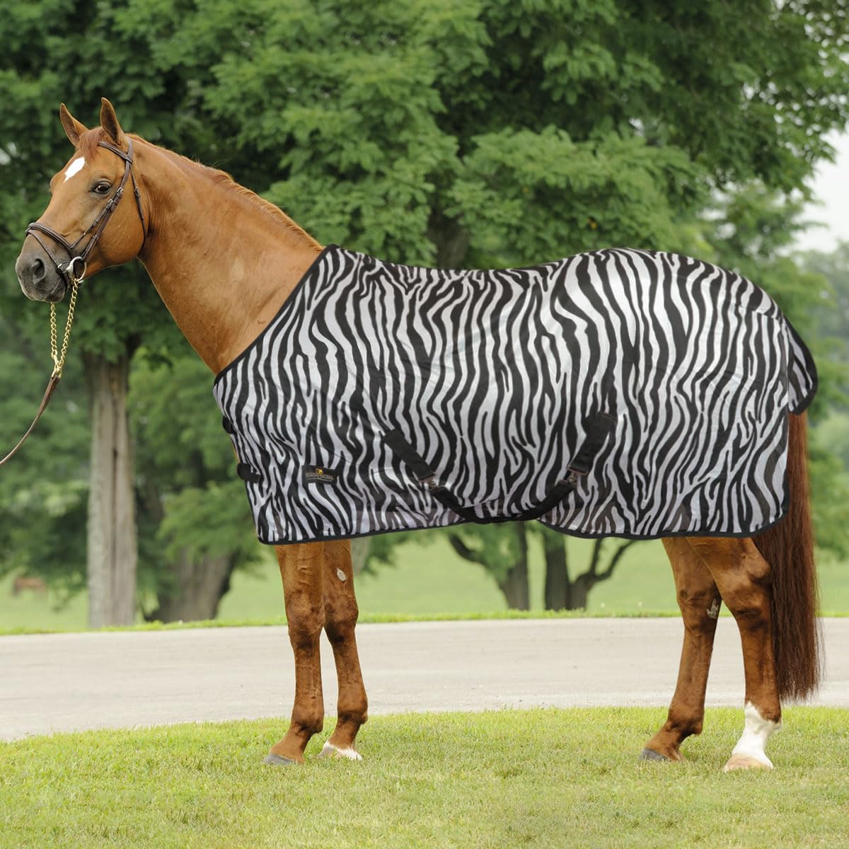 Manta antimoscas Horses Zebra, útil para proteger al caballo de los cambios de temperatura (115 cm)