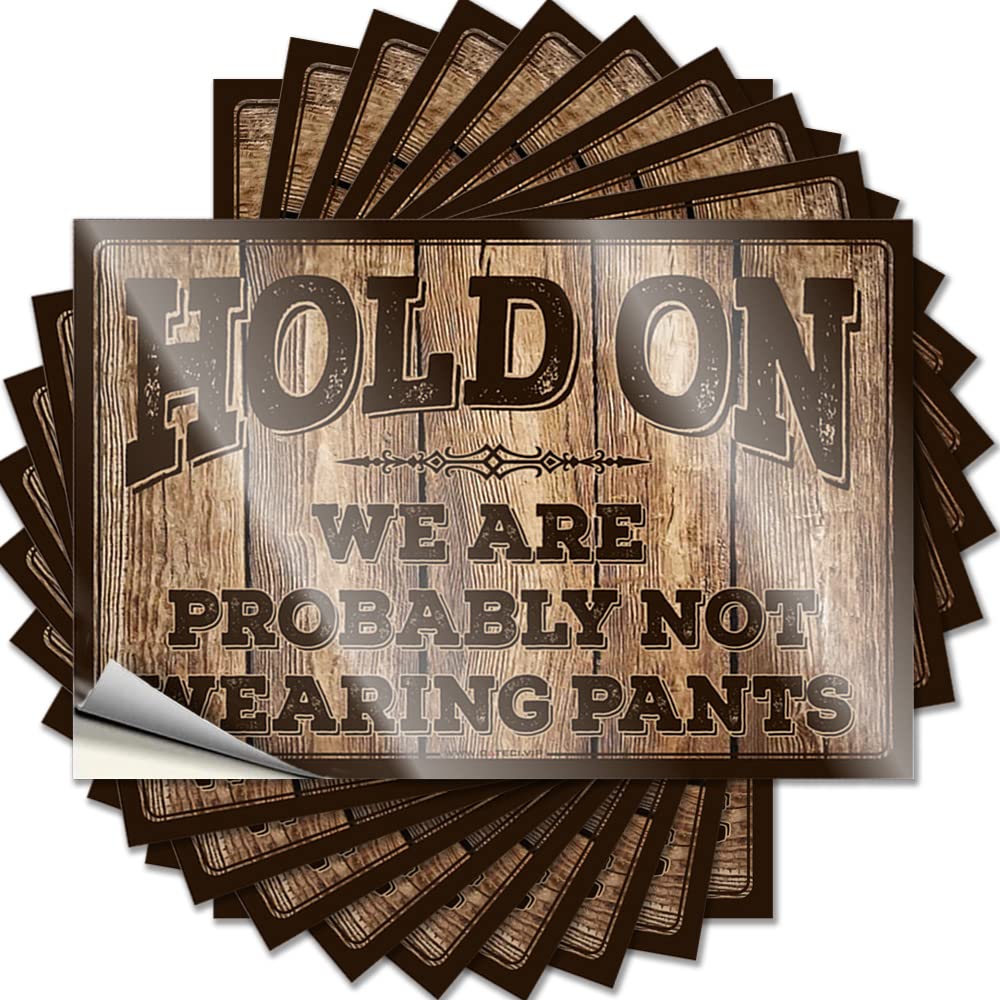 Cool Bedroom Accessories Decal - Tall Sports Helmet Hold On We're Probably Not Wearing Pants(8X12CM)