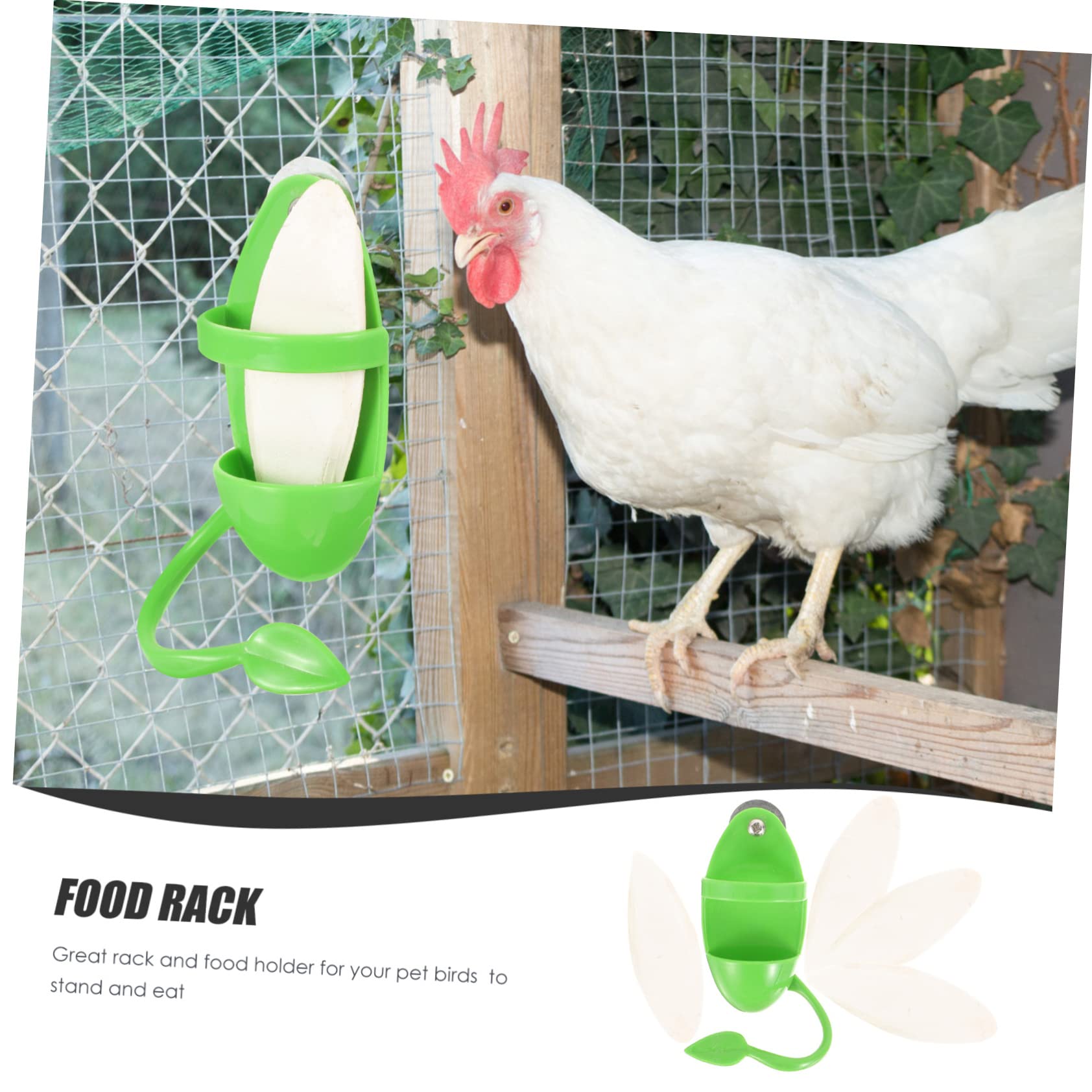 DOITOOL 4sets Supporto Per Uccelli Con Cuttlebone Rack Per Alimentazione Parrot Accessori Per Nutrimento e Gioco Completo Con Cuttlebone Per Pappagalli e Altri Volatili