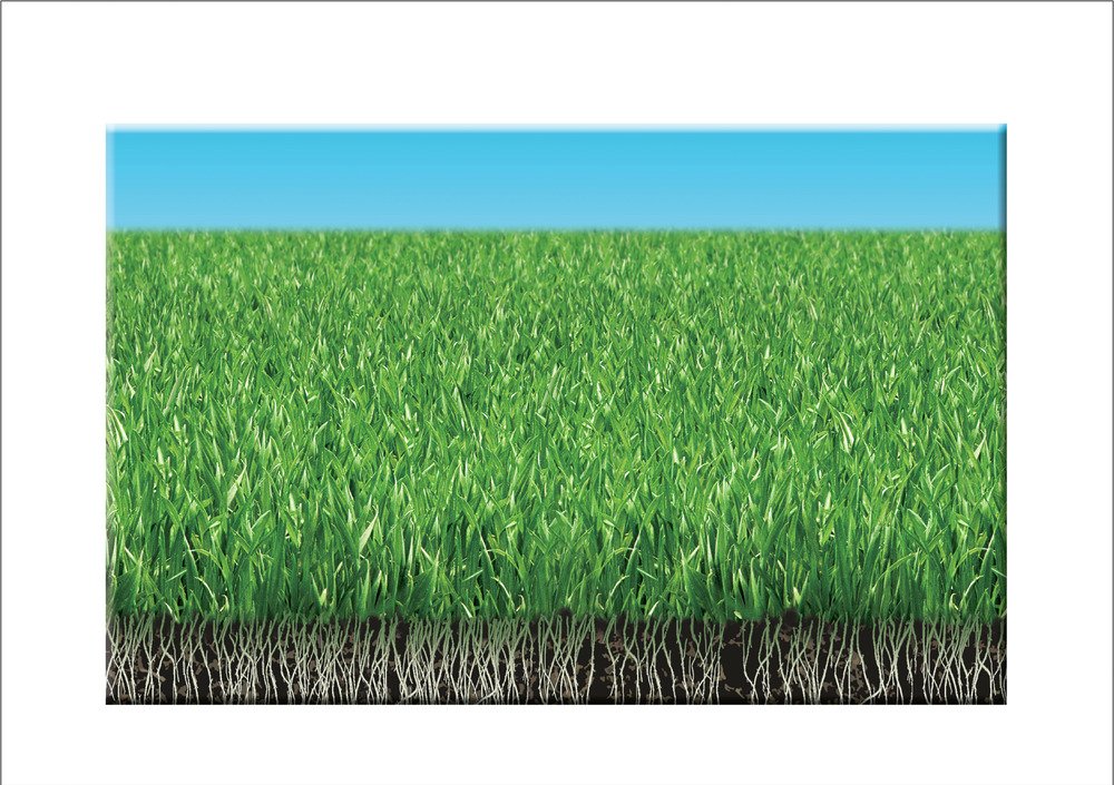 COMPO Lawn Game and Sport, Universal Lawn Mixture, 8 kg, 400 m²