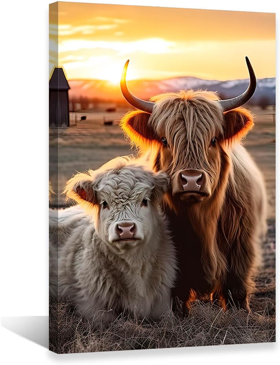 QIXIANG Highland Cow Canvas Wall Art Highland Fluffy Cattle Paintings Prints Farm Animal Pictures Wall Decor for Bathroom Frame (Highland Cow B, 16.00" x 24.00") 16.00" x 24.00" Highland Cow B