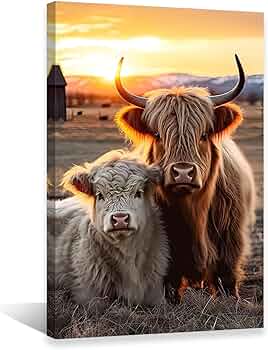 Amazon.co.jp: QIXIANG ハイランド カウ キャンバス ウォールアート