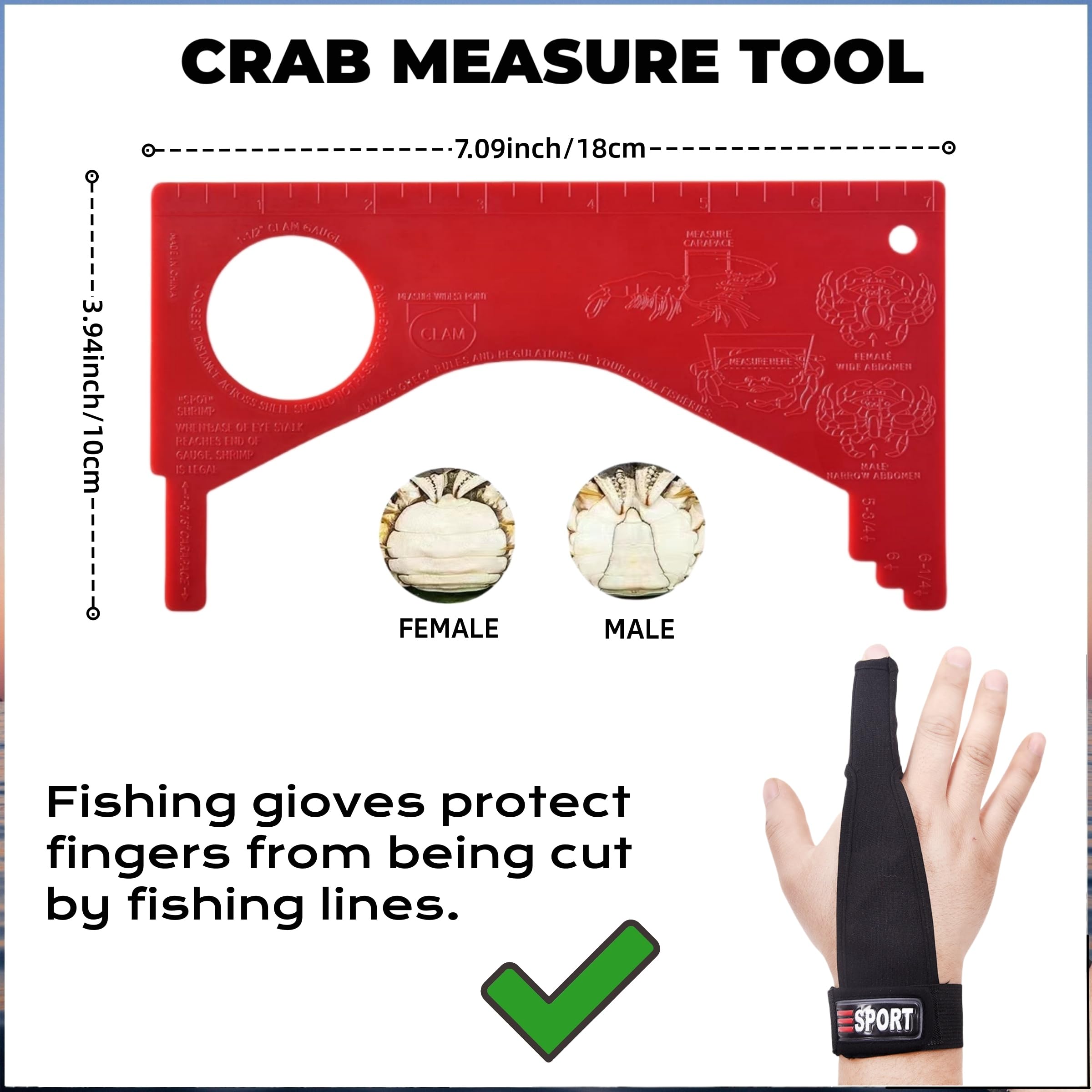 Lot de 3 pièges à crabes à 6 boucles pour canne à pêche, caisse claire pour crabes sombres, rochers et crabes bleus