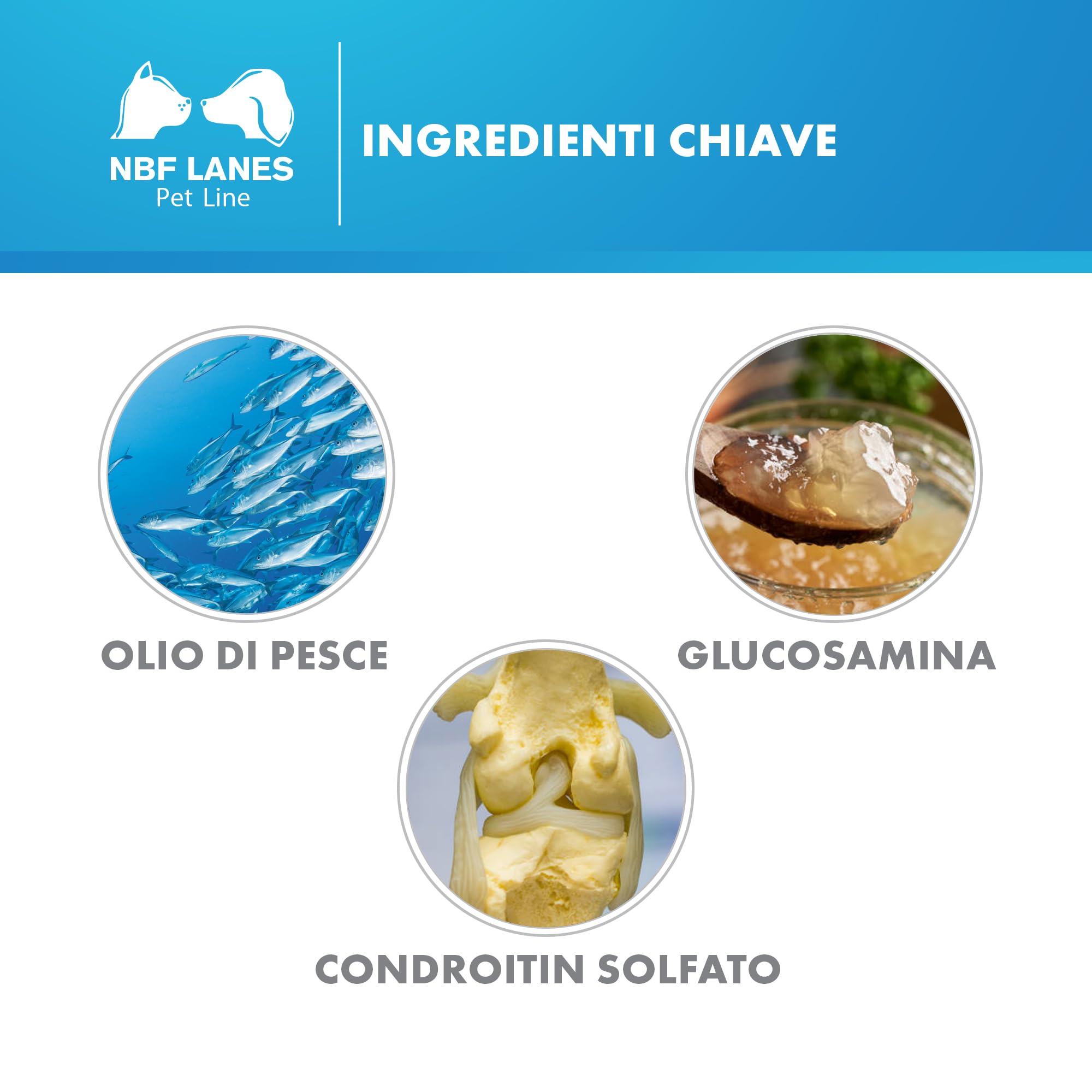 NBF Lanes | Artikrill Gatto, 30 Perle Appetibili, Supporto Metabolismo Articolare in Caso di Osteoartrite in Gatti di Tutte le Età