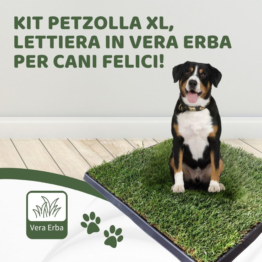 Kit XL cane PetZolla - Lettiera per cani in Vera Erba con Vassoio Riutilizzabile 100X90 cm, Traversine cane 100% Naturali e Atossiche, Toilette per cani in vero prato dura fino a 4 Settimane