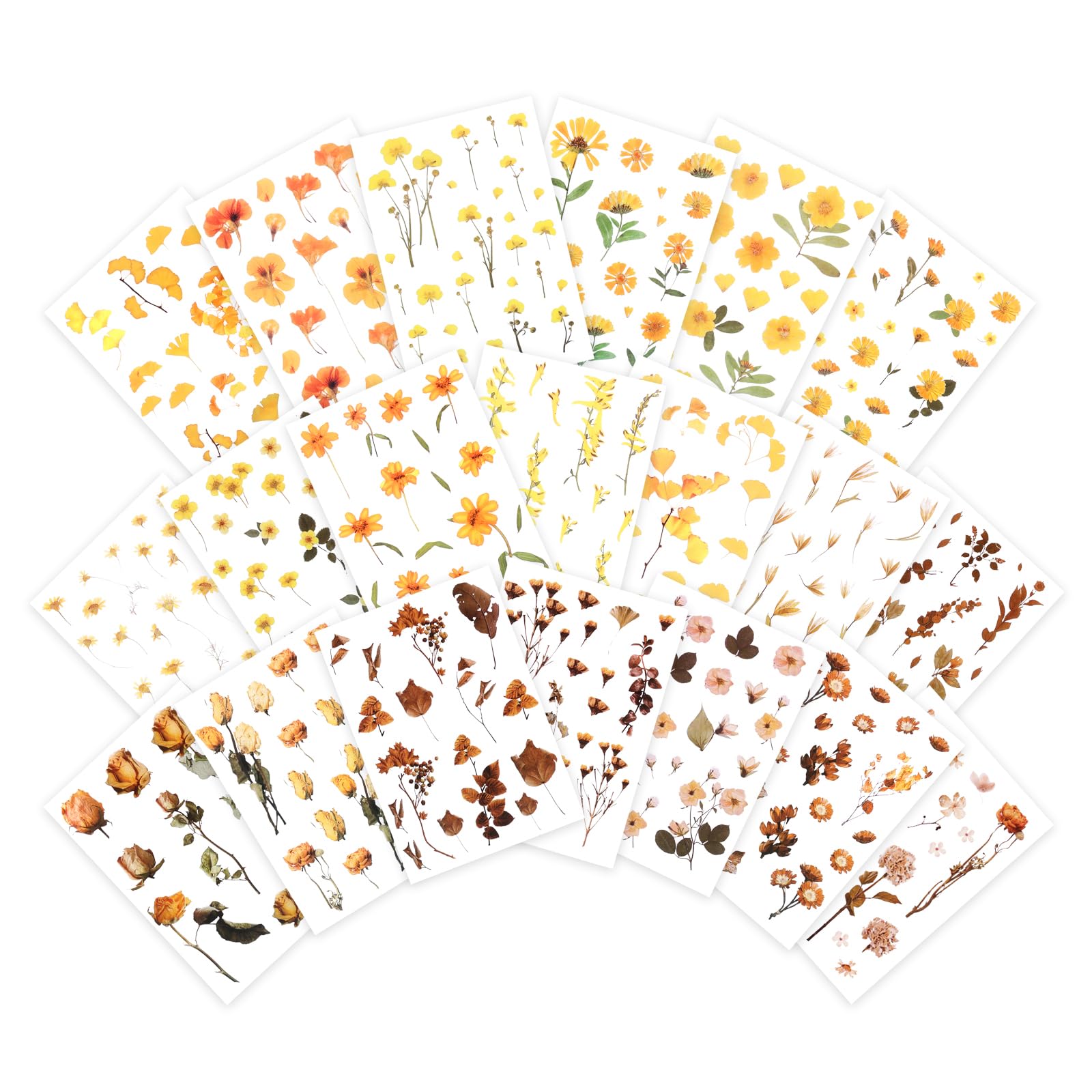NOGAMOGA Clear Flower Collage Sticker Book, 20 Sheets, Fall Decorative Sticker for Scrapbooking, Resin Art, Bullet Journaling, Crafting, Planners, Laptops, Card Making
