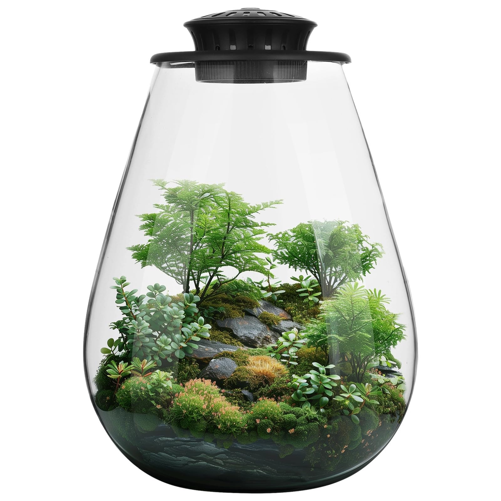 Mini Desktop Glass Plant Terrarium with Grow Light - Planter for Succulent Moss Miniature Gardening Landscape, Betta Fish Tank, Indoor Plant Growth, Office Home Decoration, Plant Lovers Gifts
