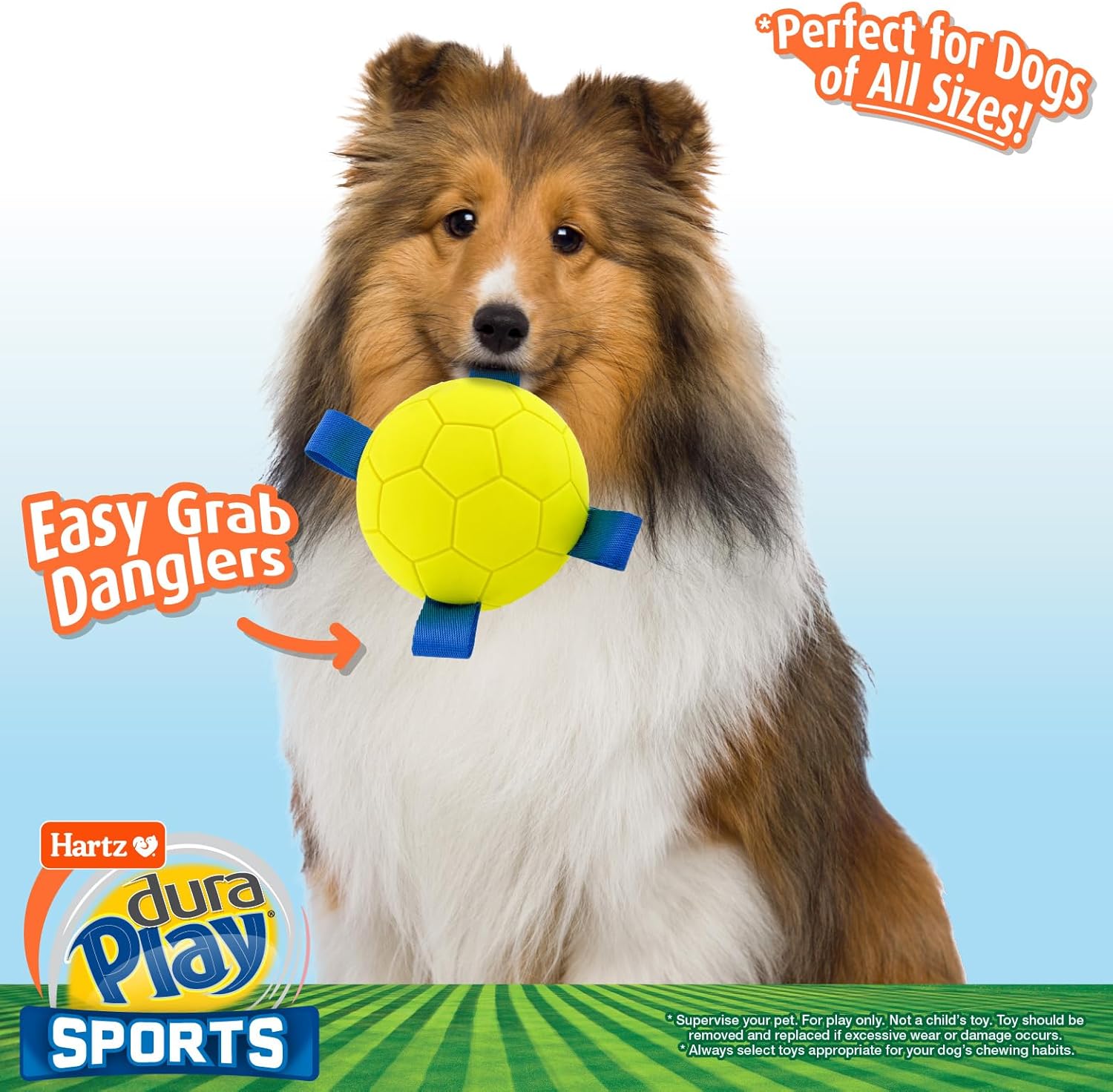 Hartz Dura Play Sports Soccer Dog Toy, Bacon Scented Squeaky Latex Yellow & Blue Toy, 3 Count