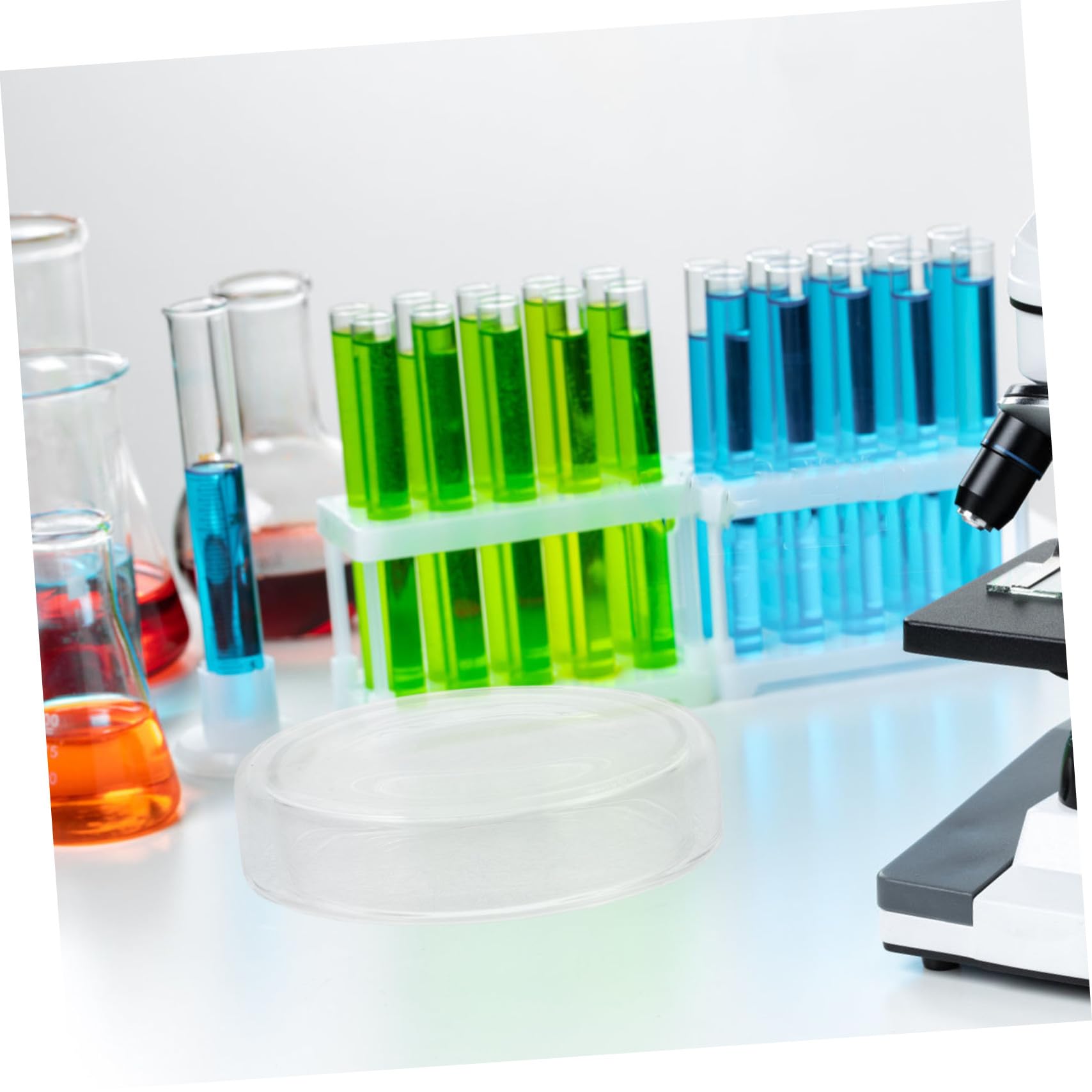 Baluue 6stücke Petrischalen Labor-petrischale mit Deckel Transparente Zell Petrischalen Hitzebeständiges Glas für Labor und Chemie-einsatz Wiederverwendbar und Robust für Experimente