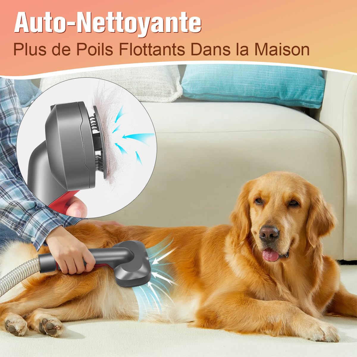 Brosse Aspirateur pour Chiens 2 en 1 Compatible avec Dyson Gen5 V15 V12 V11 V8 V7, idéale pour éliminer les poils lâches, les squames, le sous-poil et les nœuds