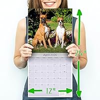 Vista 76 de Razas de Perros 2017