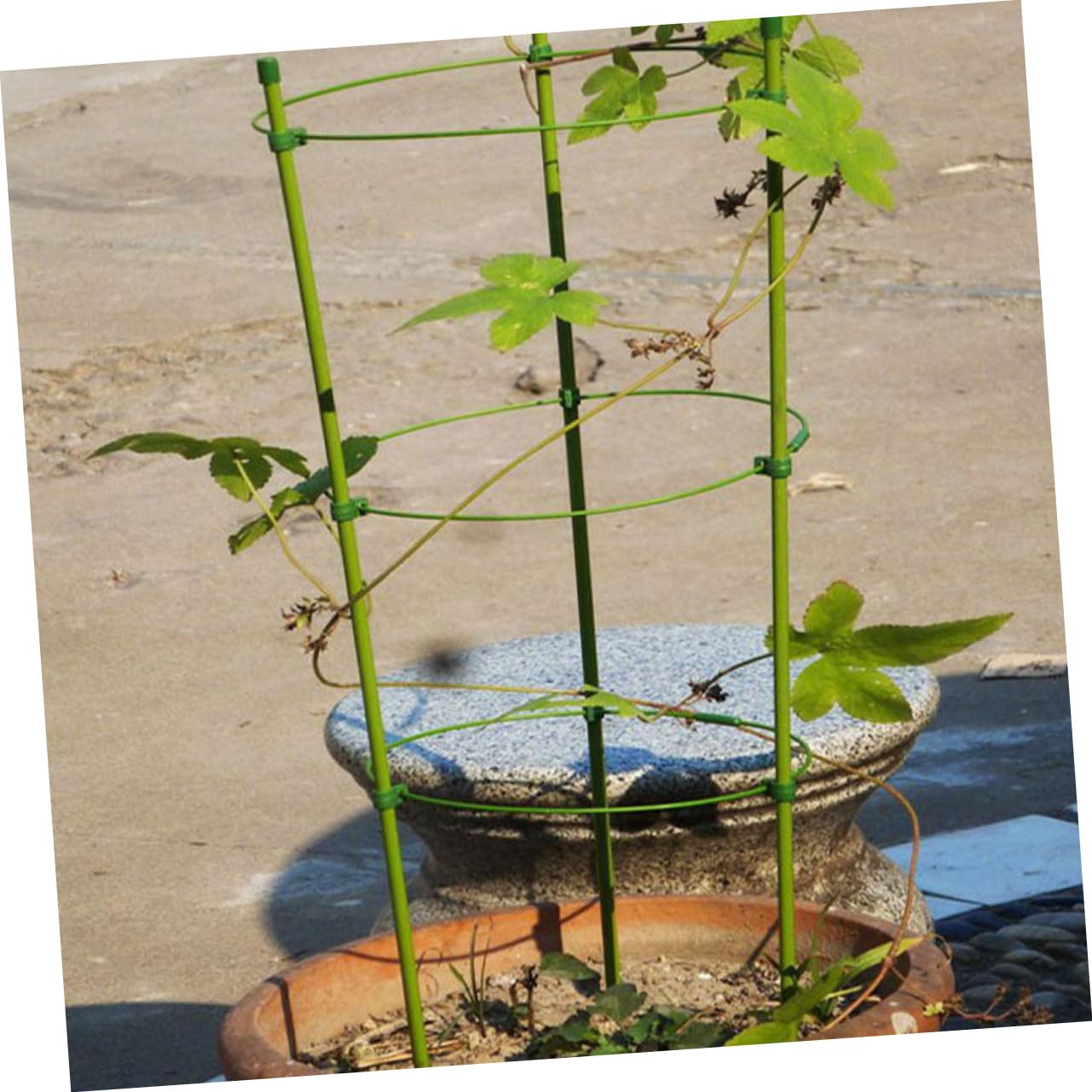 3ensembles Cages à Plastifié Supports pour Plantes Grimpantes Treillis Durable Et Aux Intempéries pour Légumes Et Fleurs