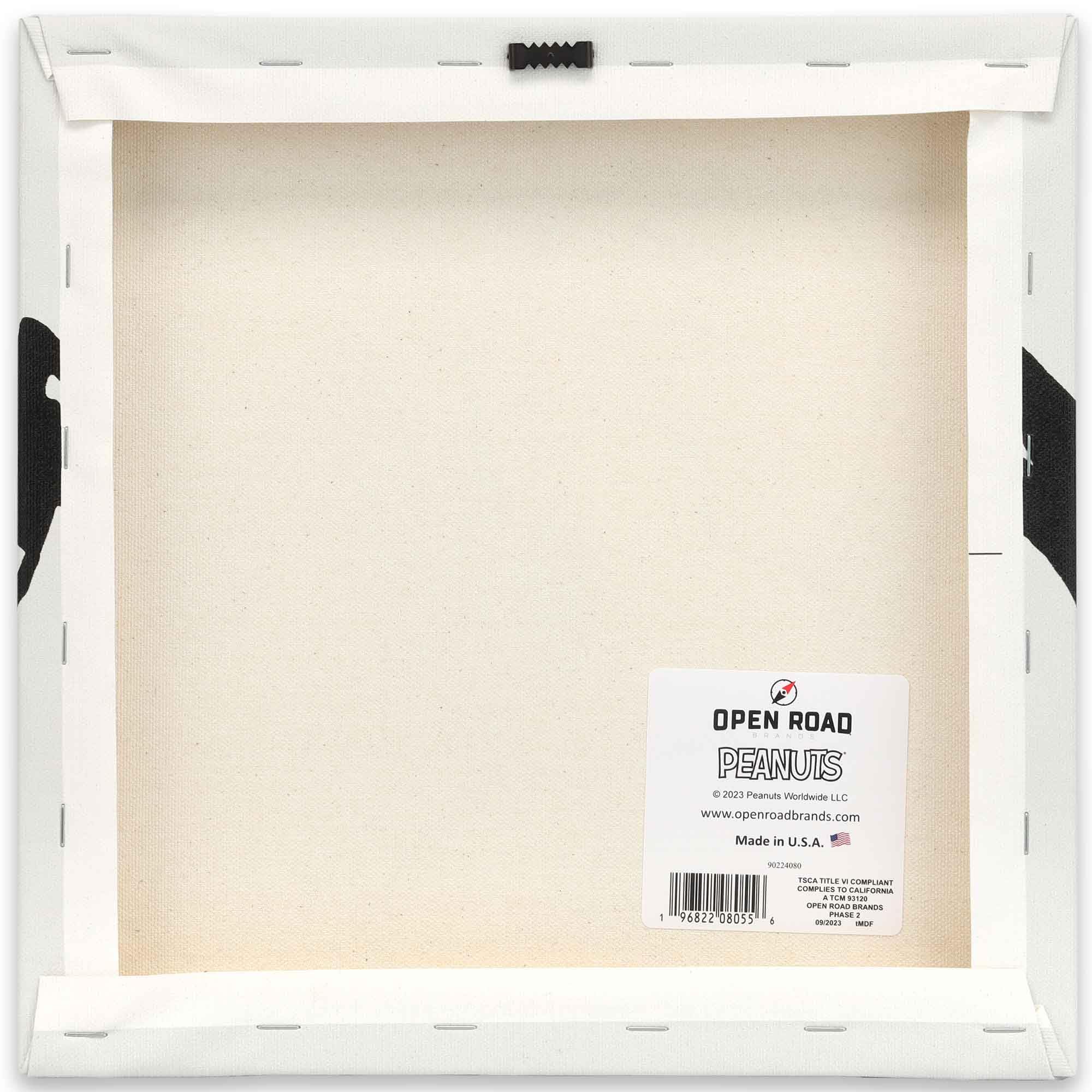 Amazon.co.jp: ピーナッツ チャーリーブラウンとスヌーピー