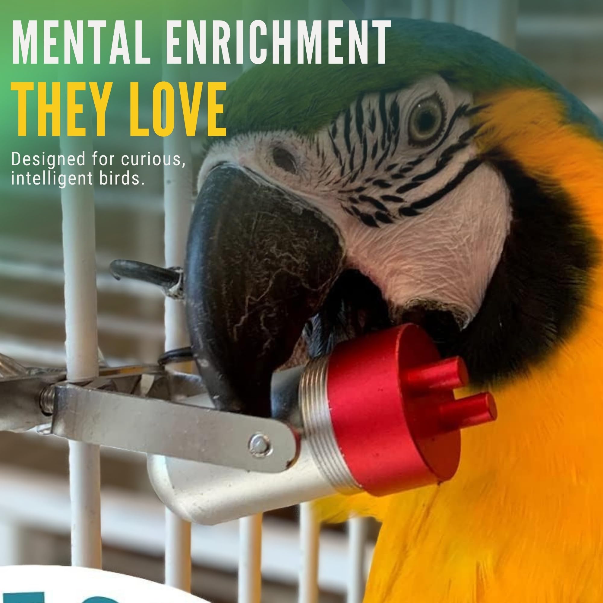 Goodie Gadget Futtersuche Super Spaß Engagement Spielzeug Gehirn Mind Toys African Grey Kakadu Amazon Catalina Aras Conures Medium Large Extra Large Birds