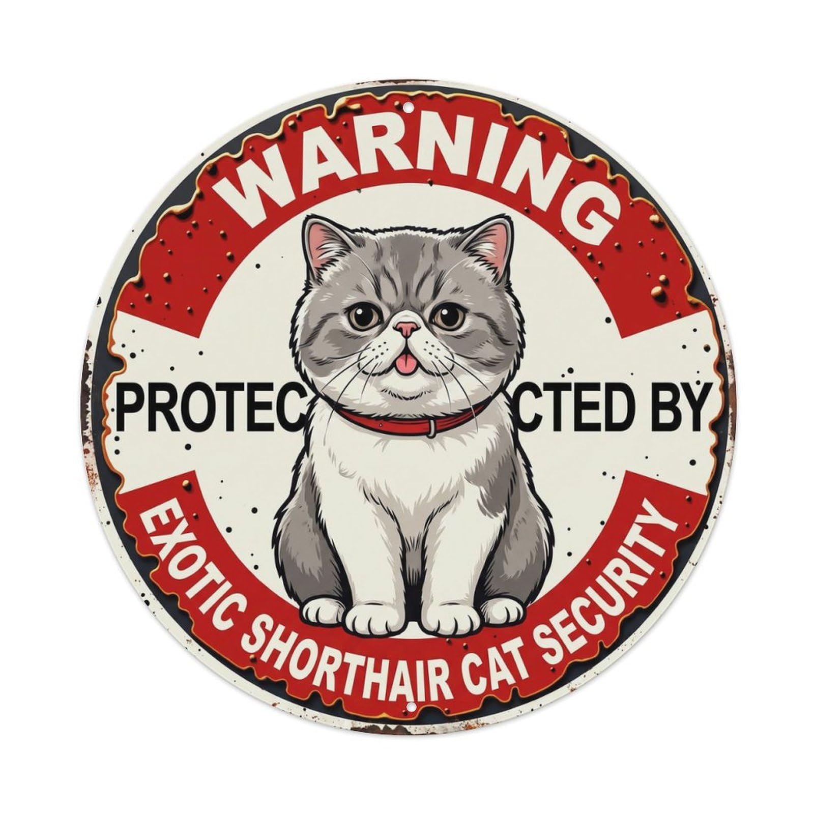 Tgrcjimh Style Metal Tin Sign Warning Protected By Exotic Shorthair Cat Security Vintage