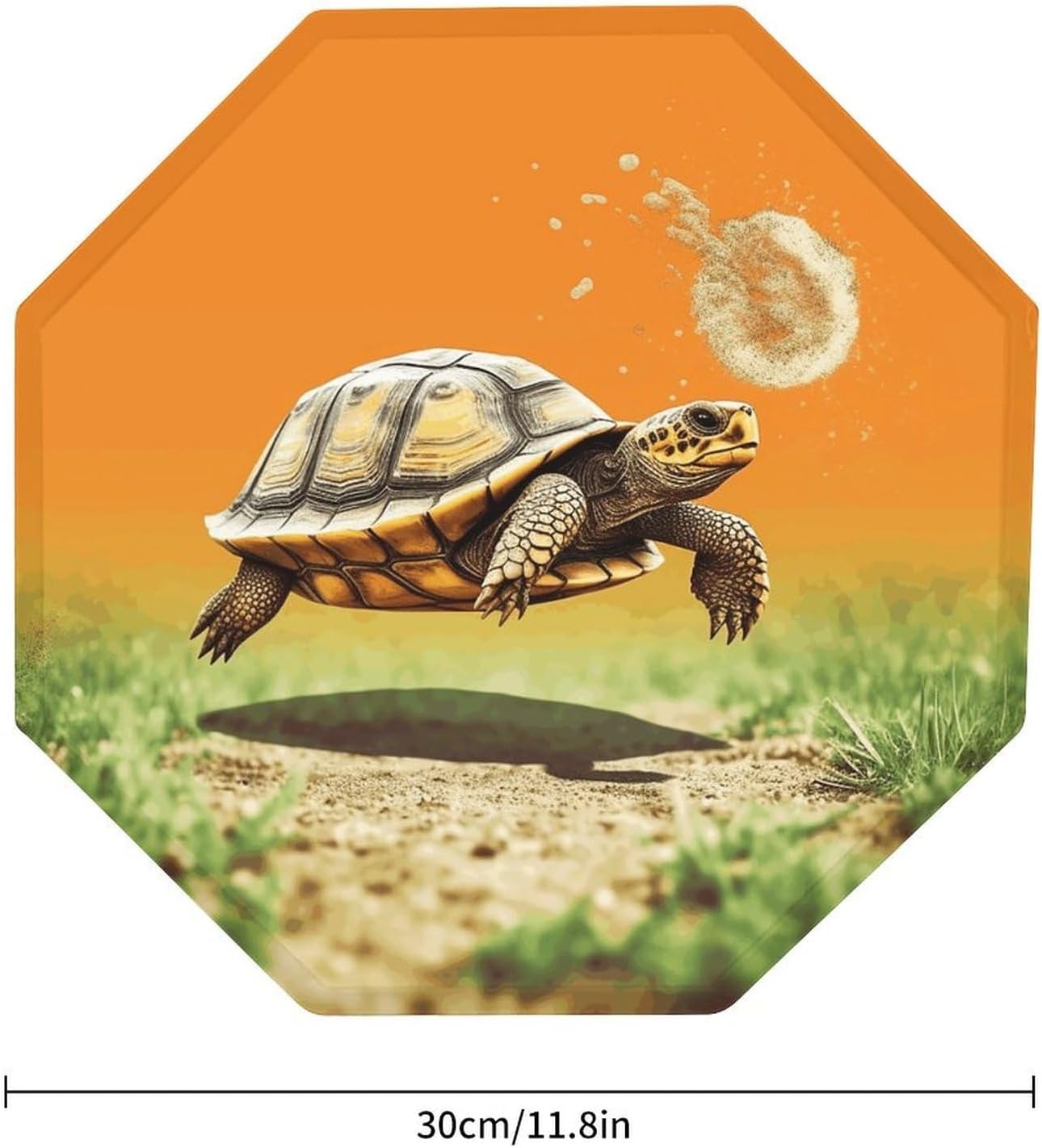 Ctagon Metal Sign for Home, Modern Display Plate for Kitchen, Tortoise Turtle Jumping Plates Accent Hanging Wall Decorations 3PCS for Living Room, Bedroom, Hallway, Hotel
