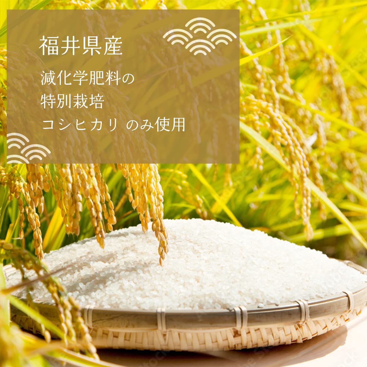 Amazon | おかゆ 永平寺 5種類20食セット (朝がゆ 玄米がゆ そばがゆ