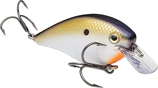 KVD Square Bill 2.5 / TN Shad 2.0