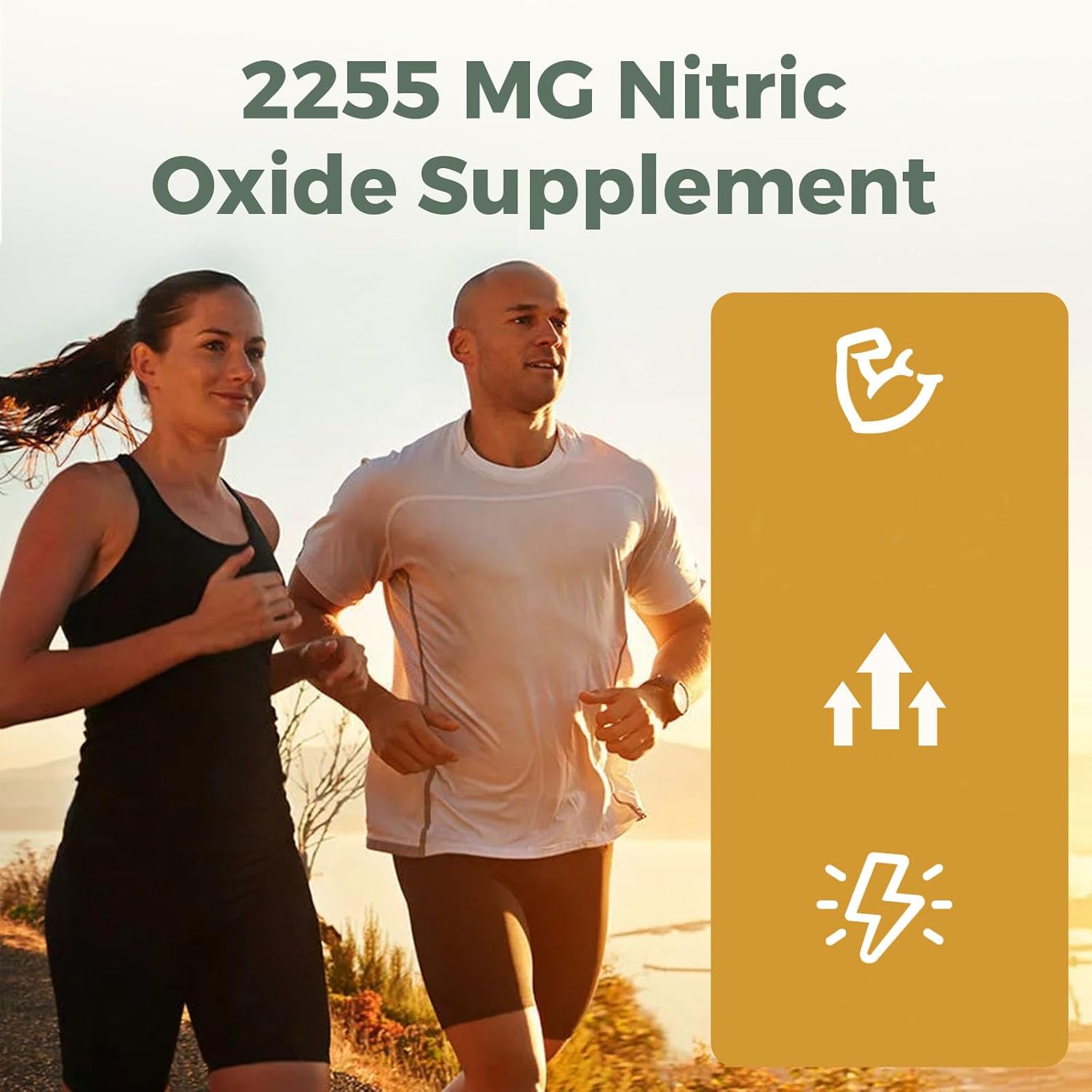 Energievoll Nitric Oxide Supplement for Men - Precursor and Phytonutrient Blend for Energy, Oxygenation, and Blood Pressure (1 Pack)
