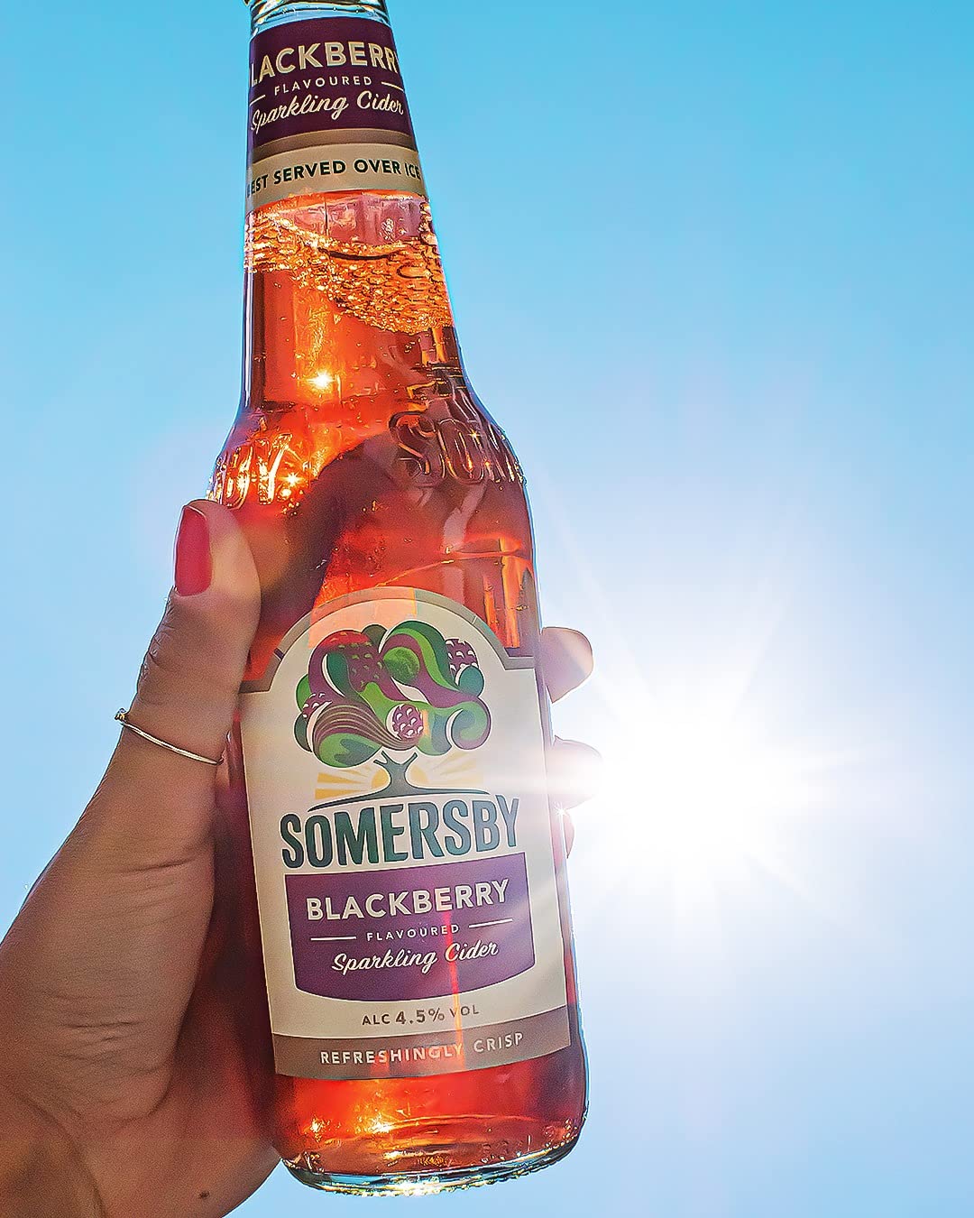 Somersby Blackberry Cider Dose Einweg 24 x 0.5 L