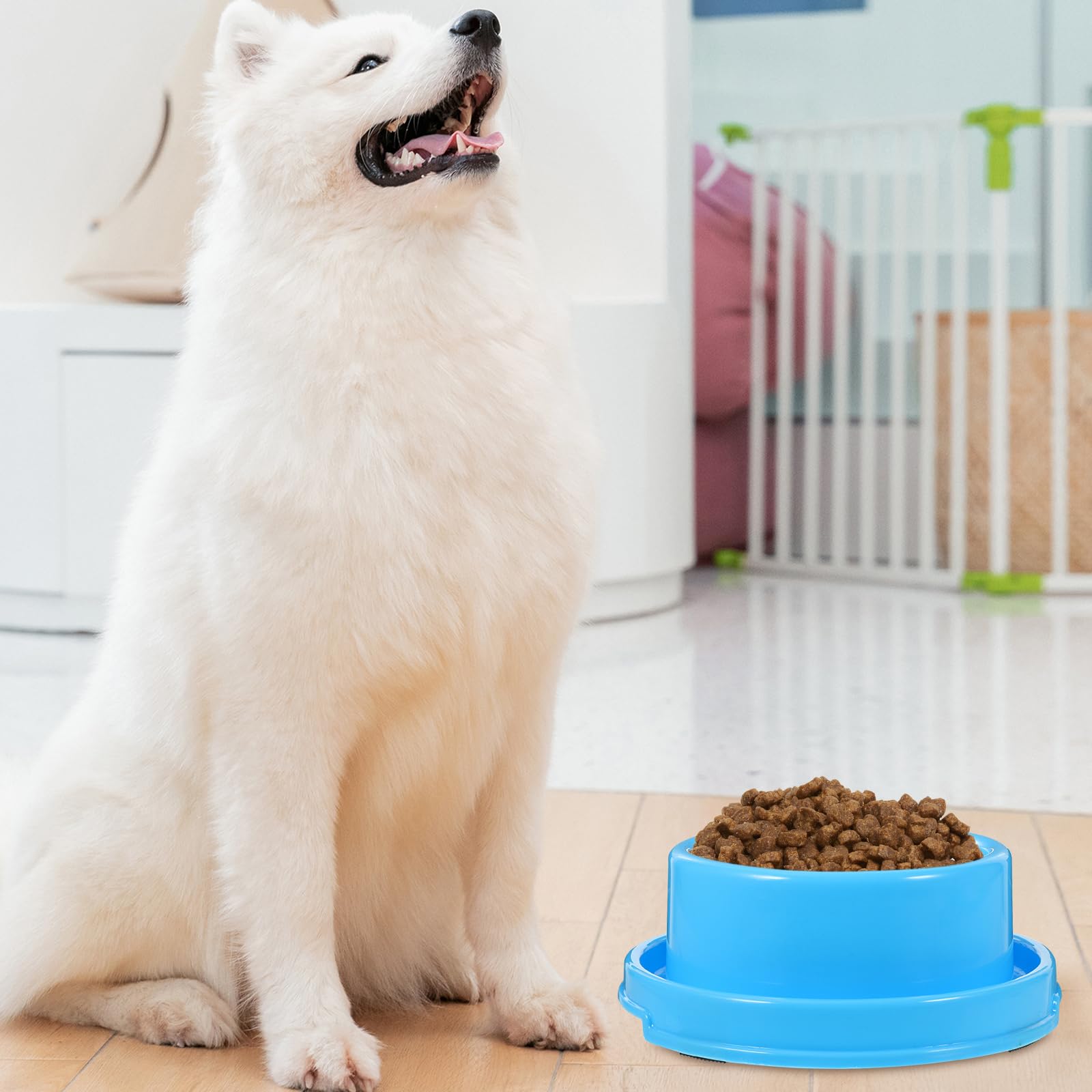 iplusmile Mangiatoia antiformiche – 3 ciotole per cani e gatti con gomma antiscivolo, ciotola per cani e gatti e anti trabocco, 18 x 7 cm