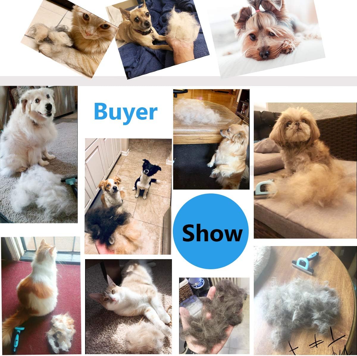petgle Cat Brush &Cat Comb for Shedding,Pet Deshedding Brush for Cat and Small Dog Reduces Loose Undercoat by 95% Cat Grooming Brush and Deshedding Tools for Long Hair and Short Hair 2.5inch Blue : Pet Supplies